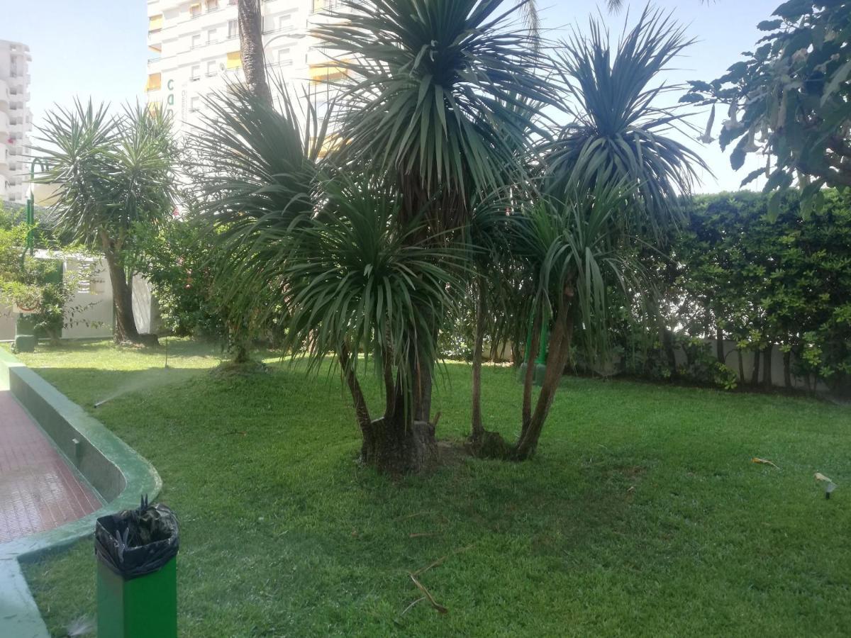 Cancun III Solo Familias Serviplaya 甘迪亚 外观 照片